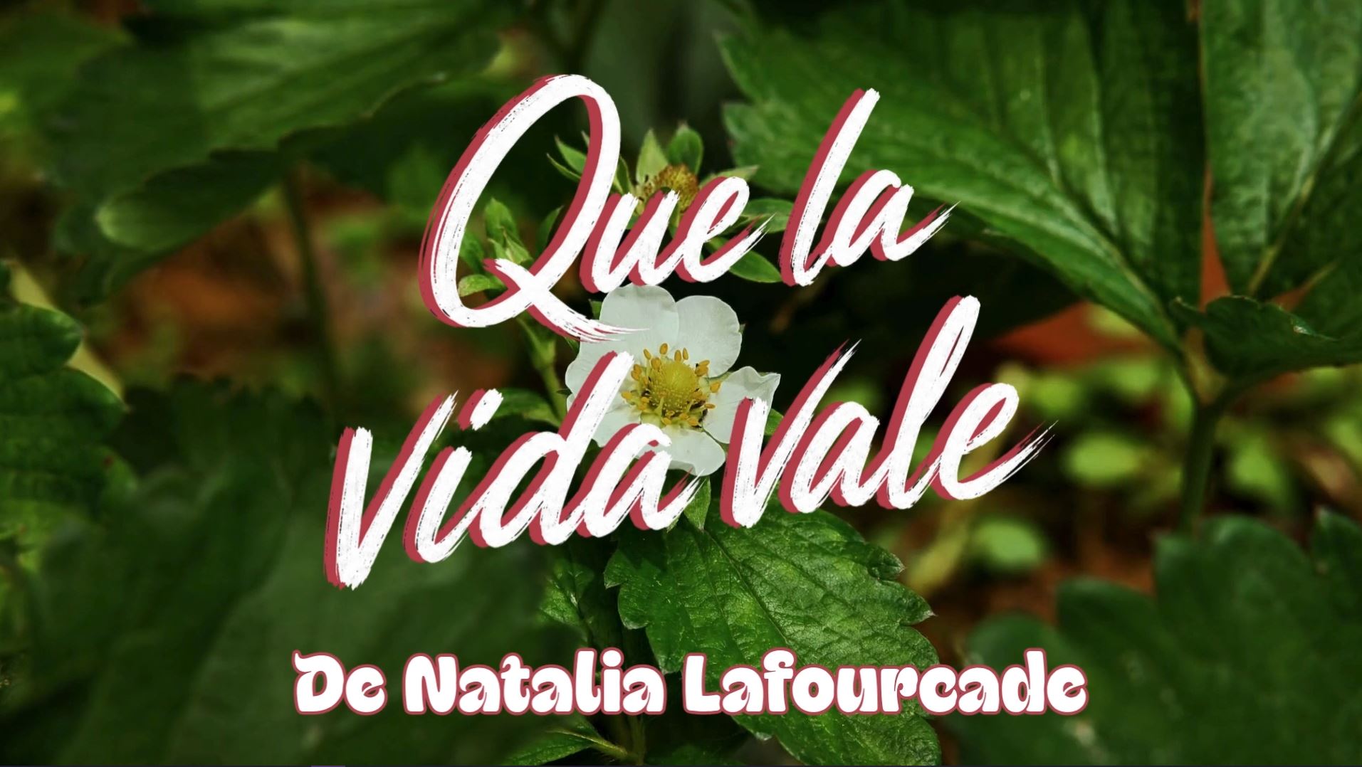 La vida vale - Escuela experimental TIC